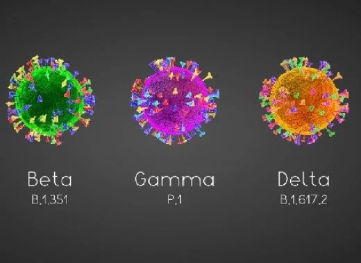 La vaccination favorise-t-elle l'apparition de variants ?