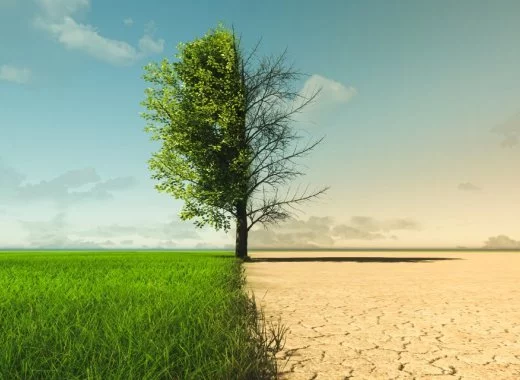 Changement climatique : « Nous ne sommes pas assez préparés au pire » alertent des scientifiques