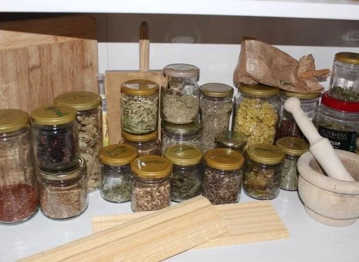 Phytothérapie : la santé par les plantes