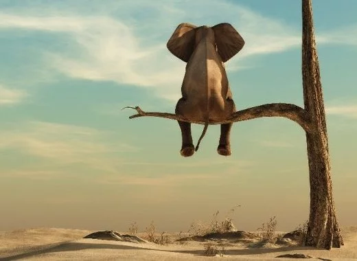 Le rôle de la confiance et du politique dans le complotisme