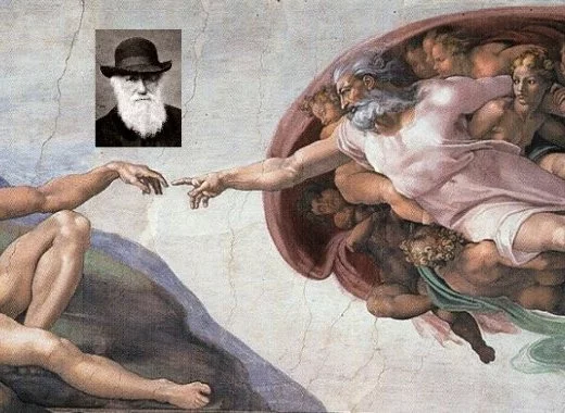 La théorie darwinienne de l'évolution dérange toujours les créationnismes