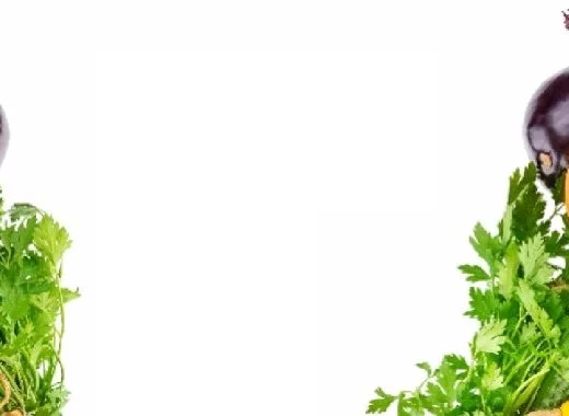 Peurs et désinformation autour de traces de pesticides dans les fruits et légumes