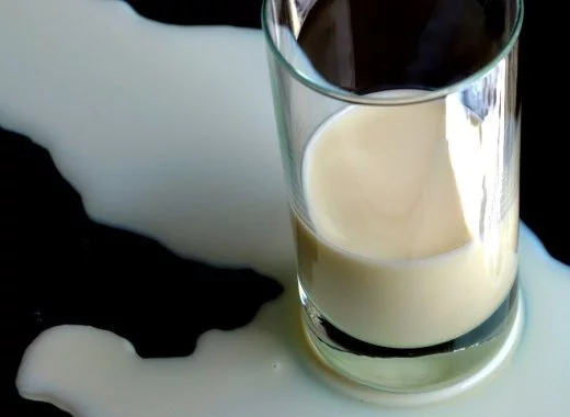Le calcium du lait est bon pour l'os : une vérité qui dérange !