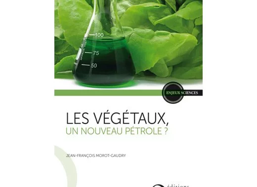 Les végétaux - Un nouveau pétrole ?
