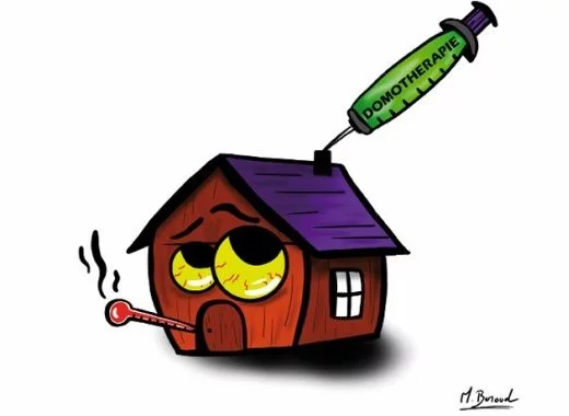 Domothérapie : la raison hantée