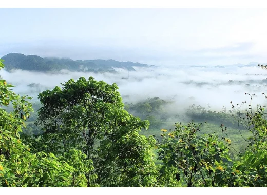 Voir sous la forêt : l'apport du lidar à la recherche archéologique en Amazonie