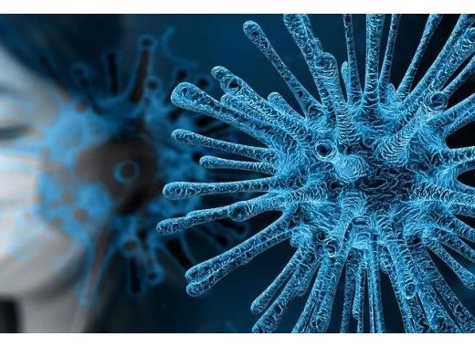 Covid-19 : les mécanismes de l'infection