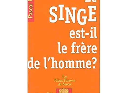 Le singe est-il le frère de l'homme ?
