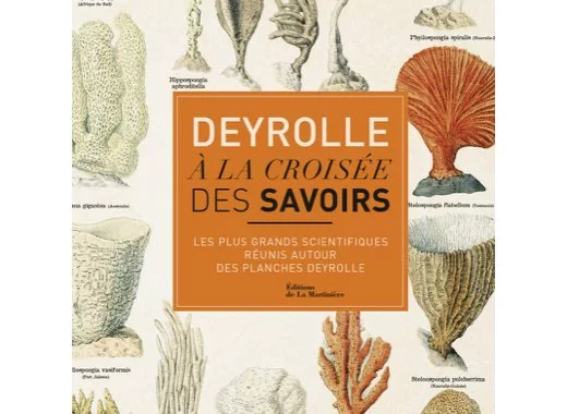 Deyrolle à la croisée des savoirs