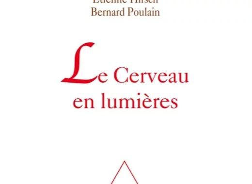 Le Cerveau en lumières