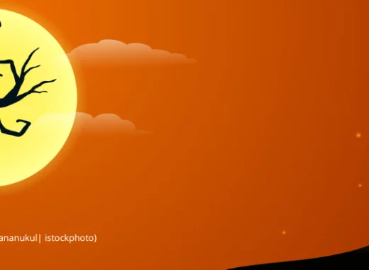 Les phobies : genèse, renforcement, traitement