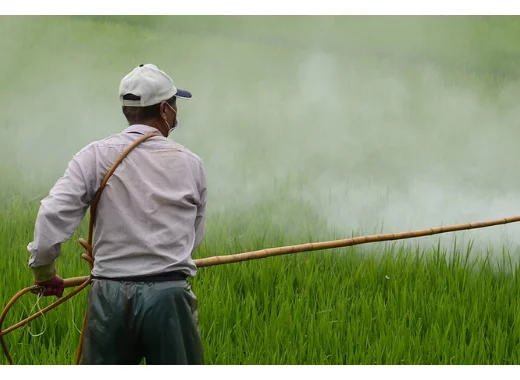 385 millions d'intoxications aux pesticides chaque année : vraiment ?