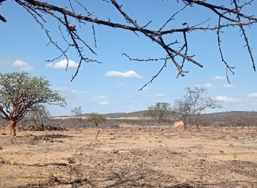 L'Afrique souffre de la crise climatique sans beaucoup y contribuer