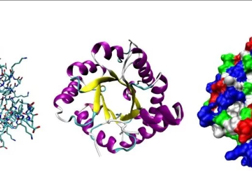Une intelligence artificielle propose une structure tridimensionnelle pour toutes les protéines connues