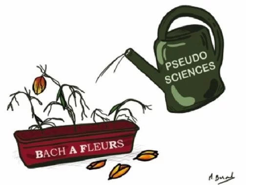 Les élixirs du D<sup>r</sup> Bach : c'est le bouquet !