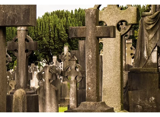 Rien ne sert de mourir ? La théorie de l'évolution et le vieillissement