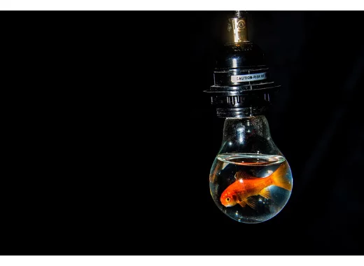 Les reportages alarmants peuvent-il induire une électrohypersensibilité ?