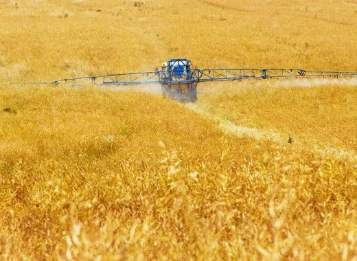 Le glyphosate est-il cancérogène ?