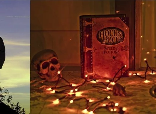 La promotion des pseudo-médecines par le ministère des Armées