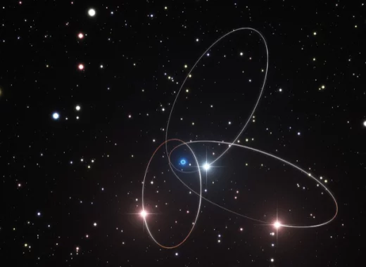 De bien étonnants prix Nobel !