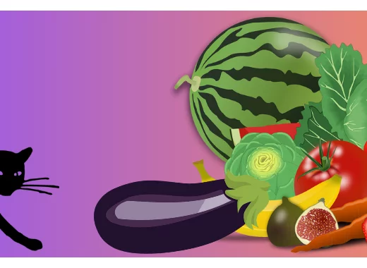 Des OGM emblématiques objets de violentes oppositions