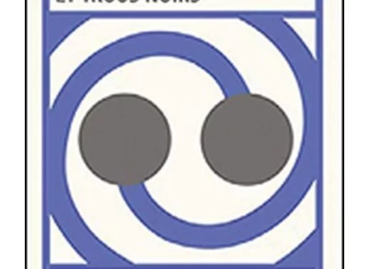 Ondes gravitationnelles et trous noirs