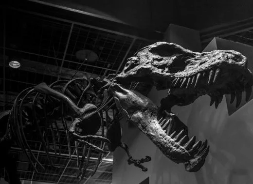 La renaissance des dinosaures