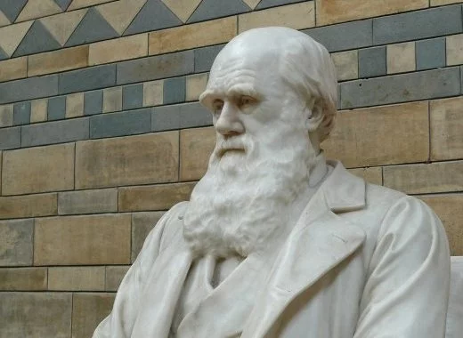 La différence entre Hahnemann et Darwin