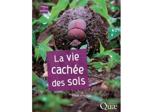 La vie cachée des sols