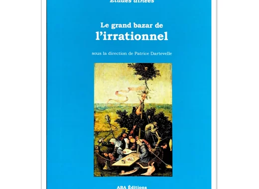 Le grand bazar de l'irrationnel 