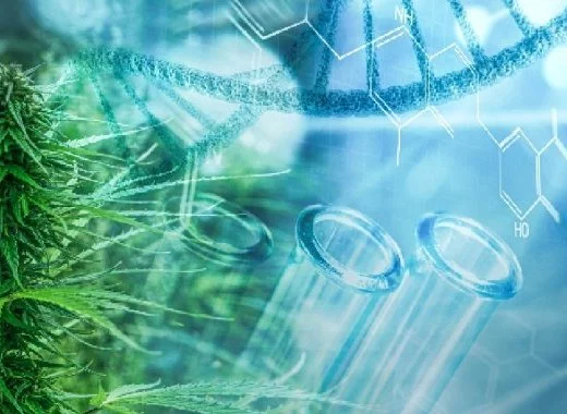 Le naturel est chimique