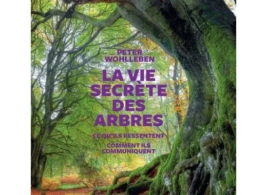 La vie secrète des arbres