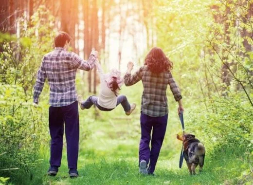 Maladie de Lyme (prolongations, juillet 2018)