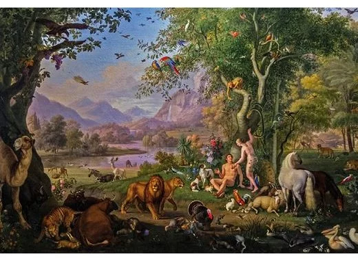 Reconquête de la biodiversité : de quelle nature parle-t-on ?