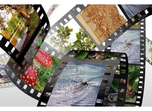 Regards croisés sur les documentaires