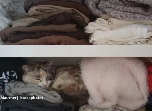 Utilité et dangers des catégorisations psychopathologiques