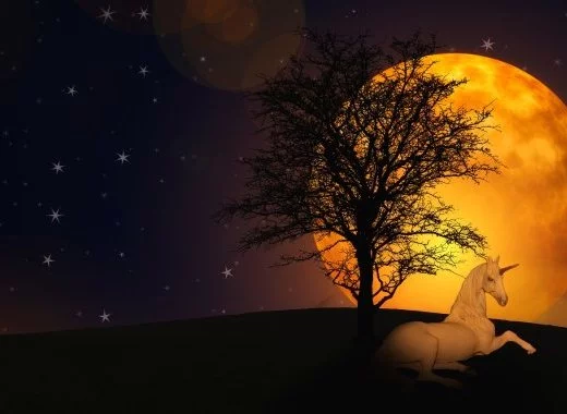 Les frères Bogdanov : science ou fable ?