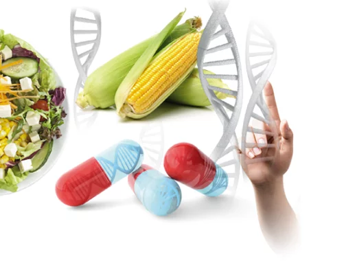 OGM : vingt ans de progrès, vingt ans de controverses