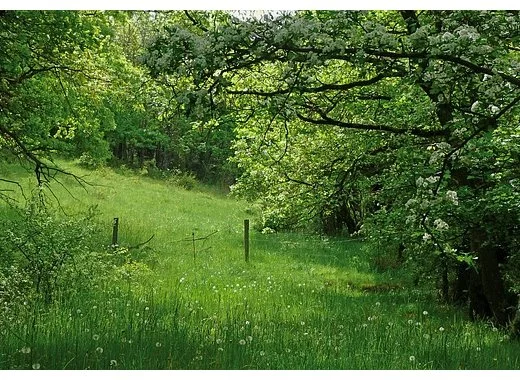 Maladie de Lyme : quand il devient impossible d'informer