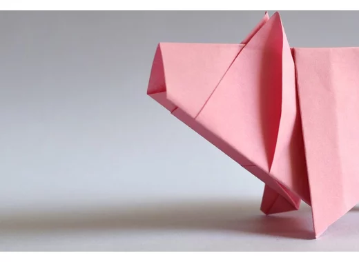 Les différences entre les aliments cellulaires et les produits animaux issus de l'élevage