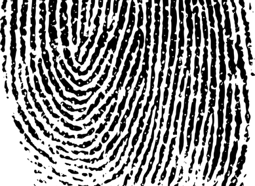 Utiliser la science pour éclairer la justice : les enjeux de l'expertise criminalistique