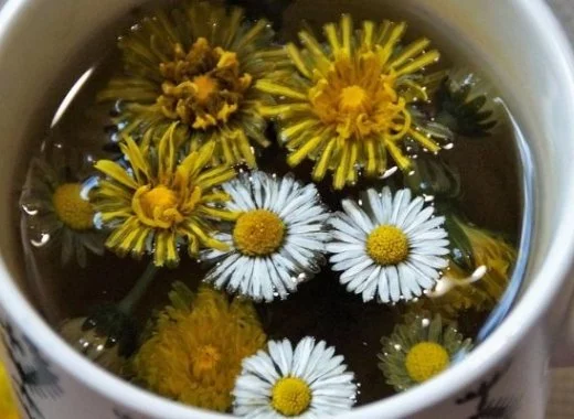 Détox : info ou intox ?