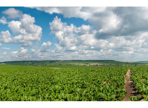 Loi Duplomb – Rapport bénéfices risques : quand le débat oublie la science