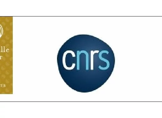 La médaille d'or du CNRS devient plus féminine 