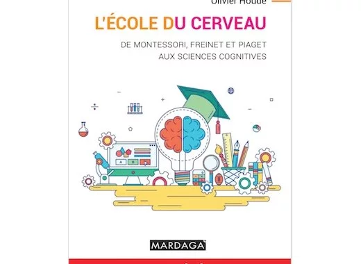 L'école du cerveau