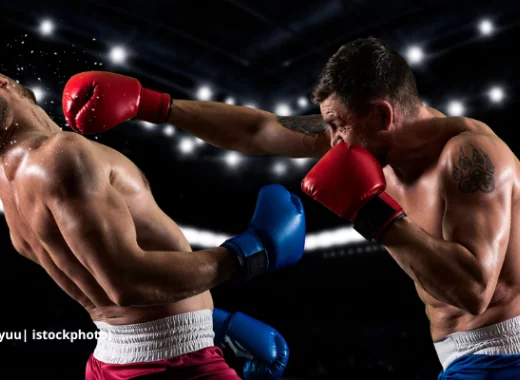 Analyse d'affirmations d'Elisabeth Roudinesco dans <i>Mais pourquoi tant de haine ?</i> (Seuil, 2010)