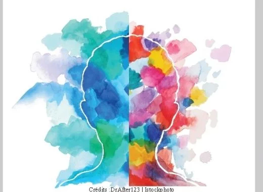 Cerveau gauche et cerveau droit : la neurologie face au mythe