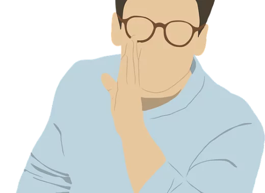 Les sornettes en question