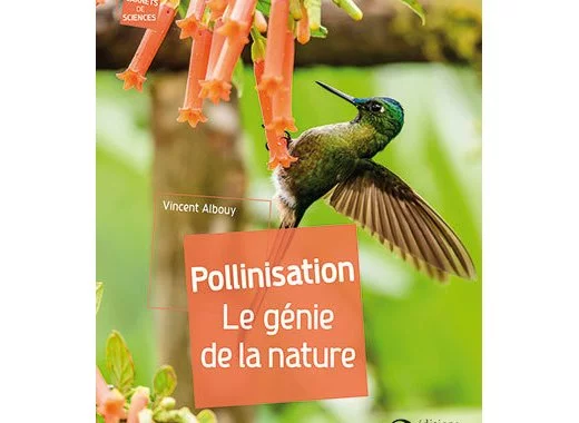 Pollinisation