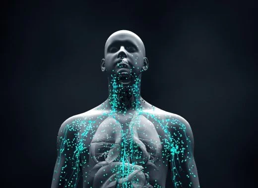  « Booster » le système immunitaire ? Pas si simple… 